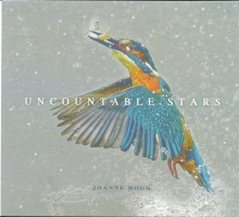 JOANNE HOGG - UNCOUNTABLE STARS