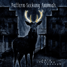 PATTERN SEEKING ANIMALS - ONLY PASSING THROUGH