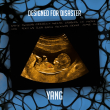 YANG - DESIGNED FOR DISASTER