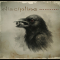 DISCIPLINE - BREADCRUMBS
